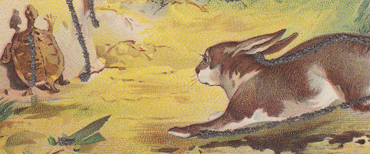 La mode responsable est à la tortue ce que le fast fashion est au lièvre